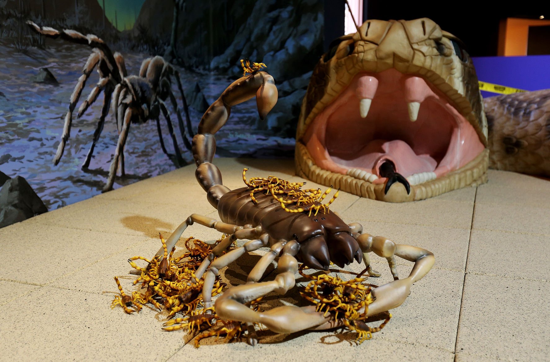 Packrat Playhouse at the Desert Museum